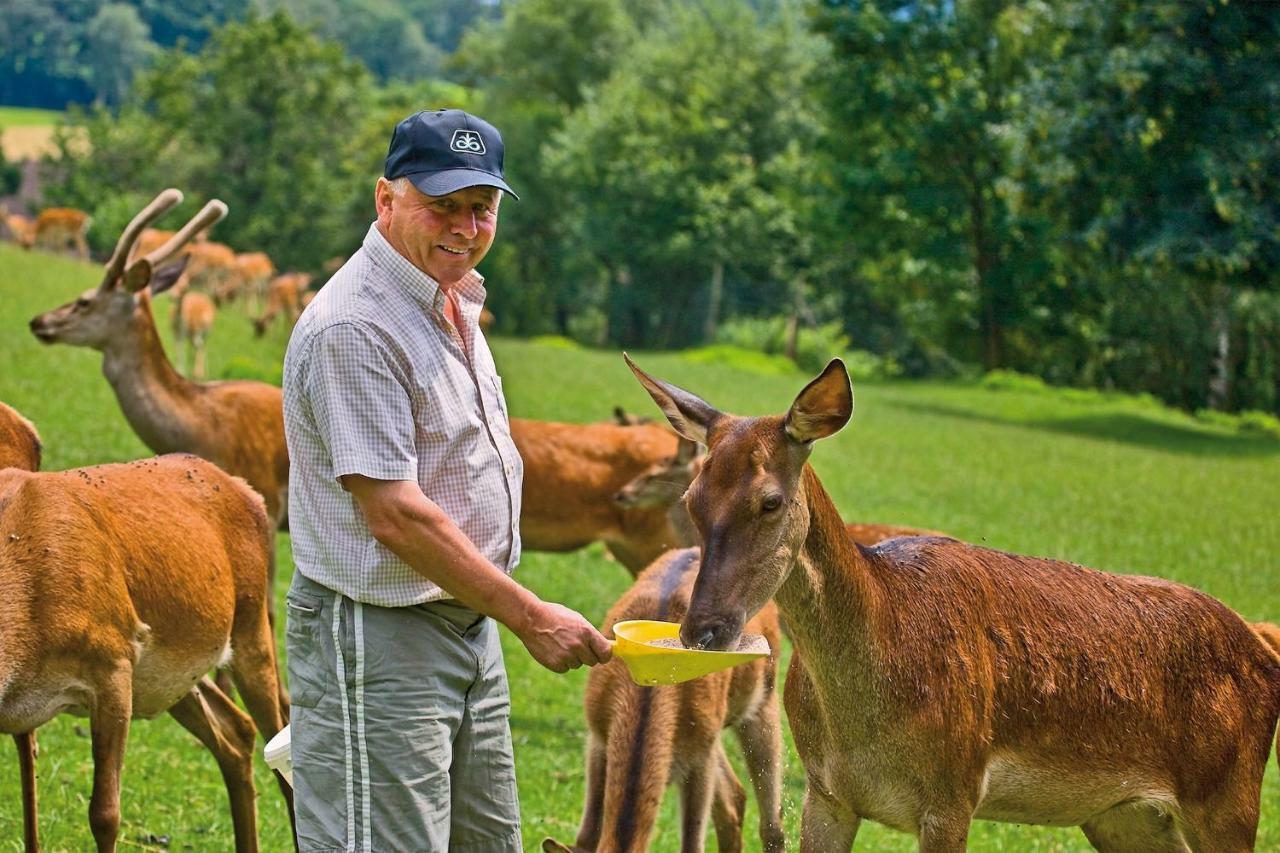 Gaestezimmer Buchegger Krumbach  Buitenkant foto